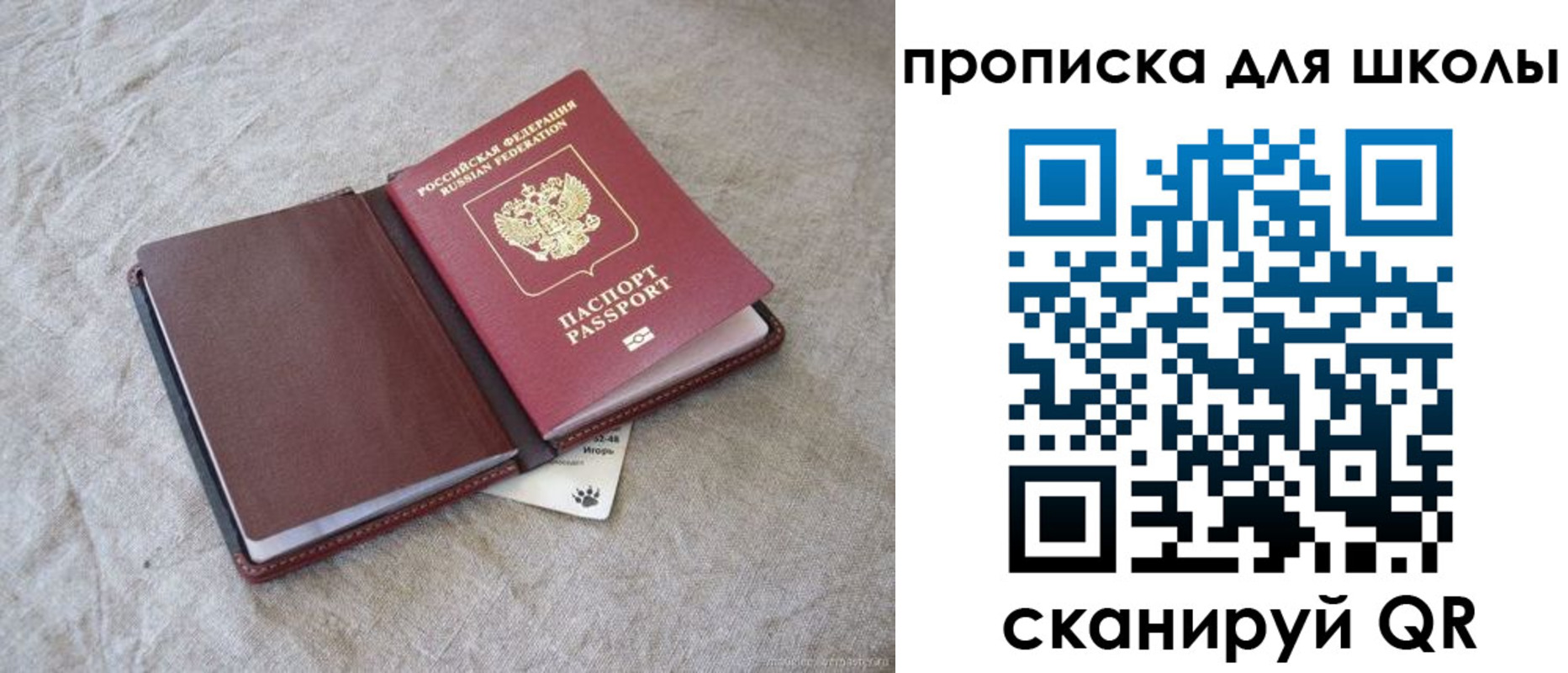 прописка штамп в Владимире